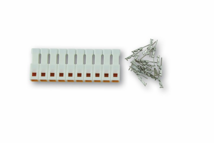 2 Pin Mini-Stecker (weiblich)